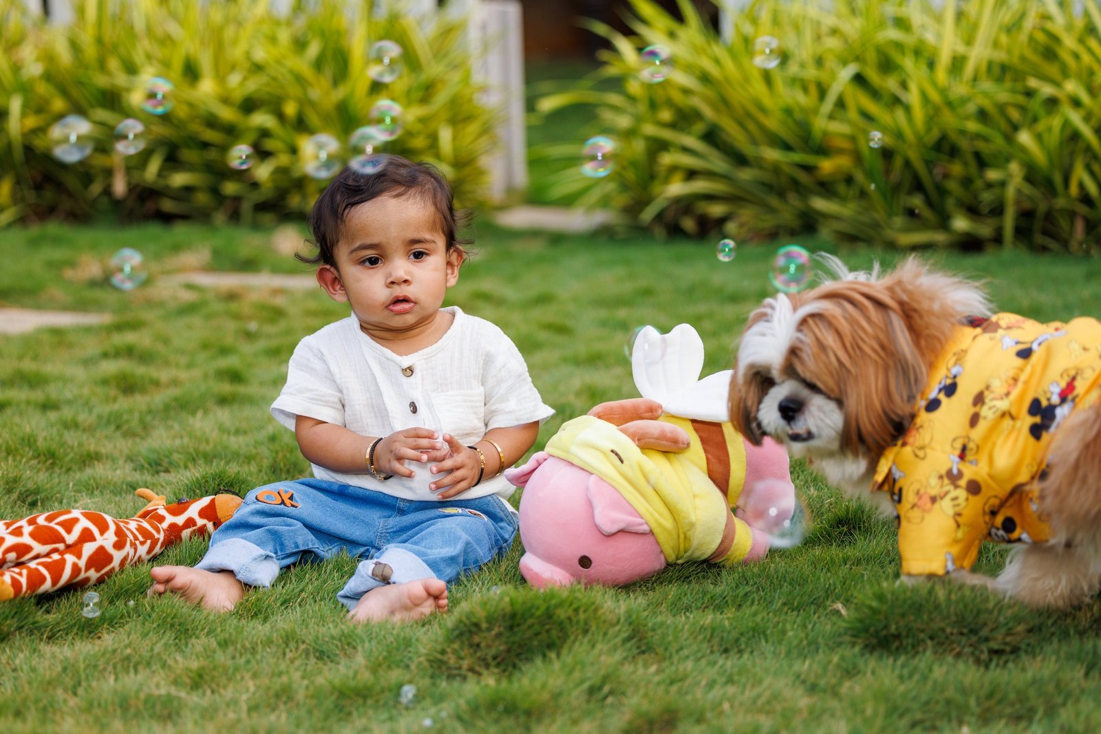 Baby and family dog sitting together with toys outdoors